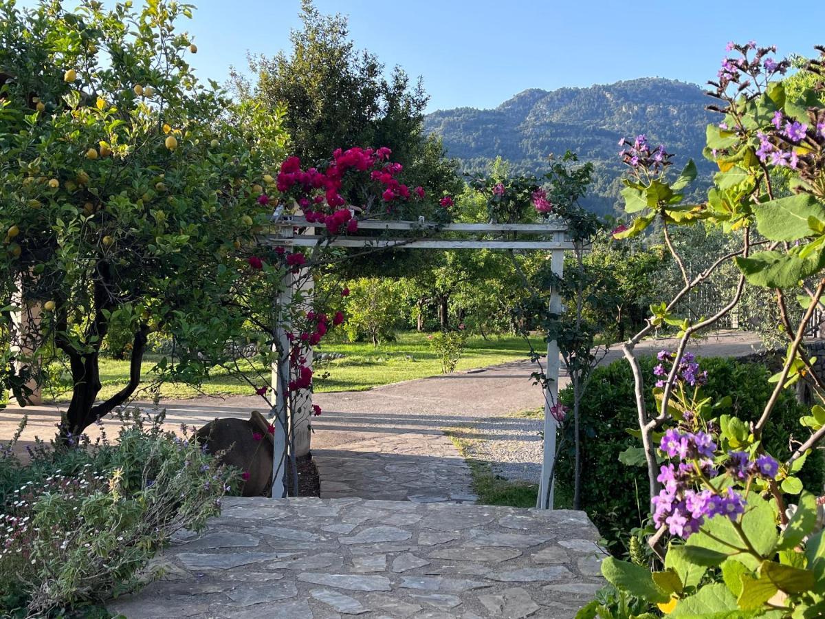 Cas Puput Mallorca Sóller Exteriör bild